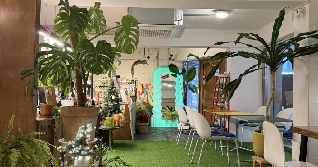 안암동써니사이드 실내 뷰 인조잔디, 플랜테리어로 공간 구성