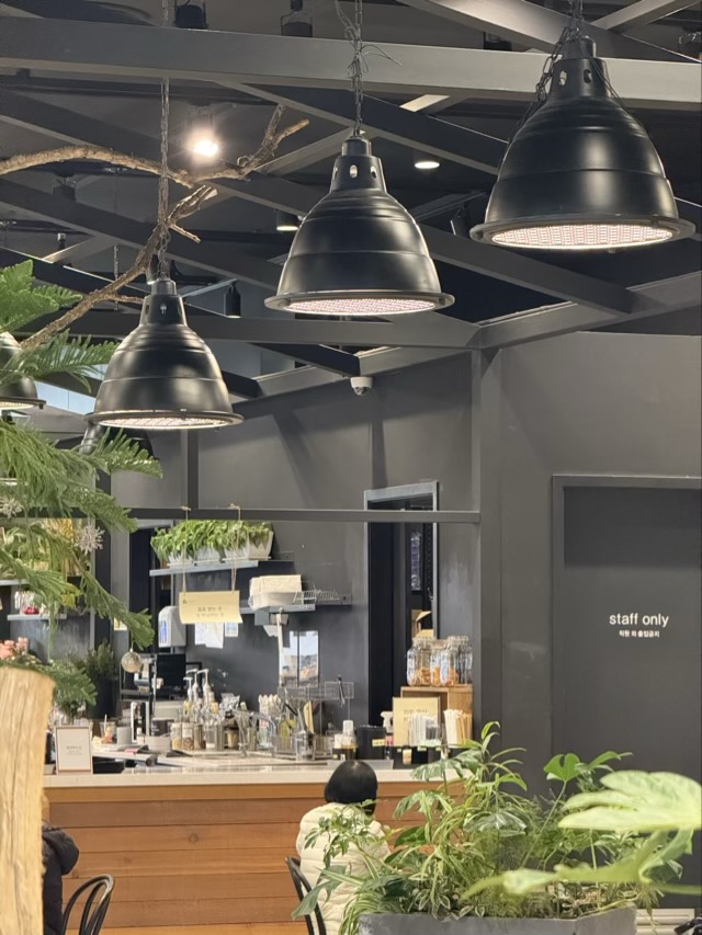 은평 롯데몰 카페 : 수수가든카페의 독보적인 플랜테리어 롯데몰 인테리어 분석 수수가든카페의 세련된 블랙 톤 천장 조명과 카운터 인테리어