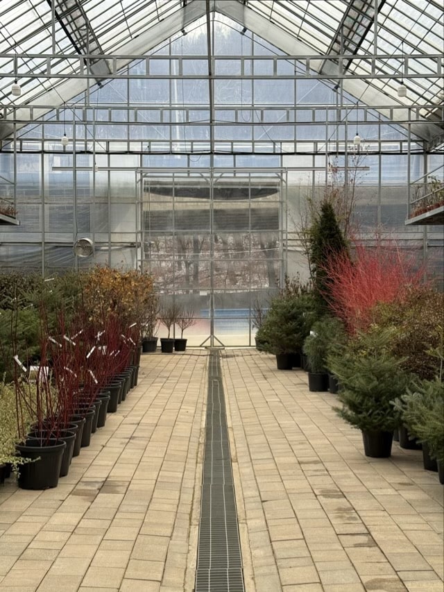 대림원예종묘 온실 중앙 통로와 양쪽에 진열된 다양한 관목, 묘목, 화분