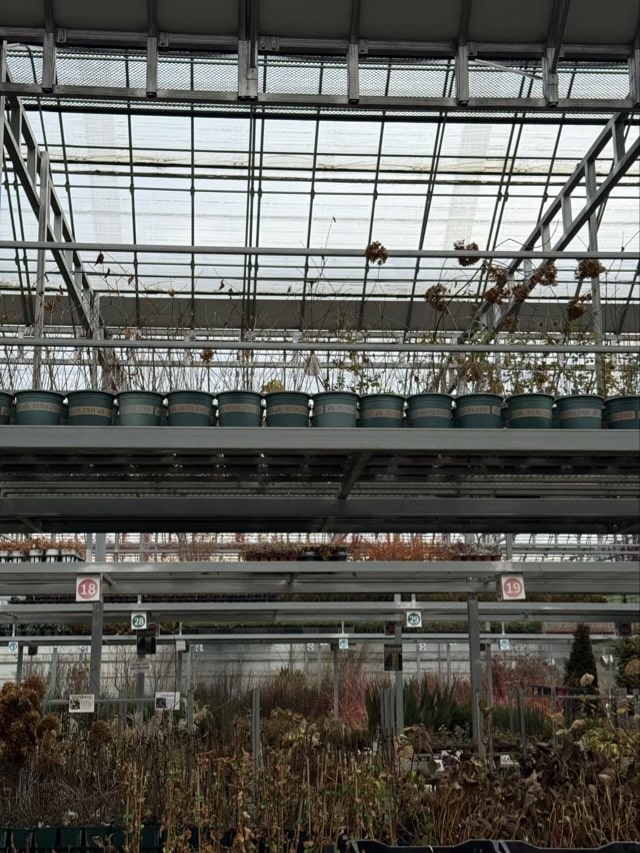 온실 내부 상단 선반에 줄지어 놓인 화분들