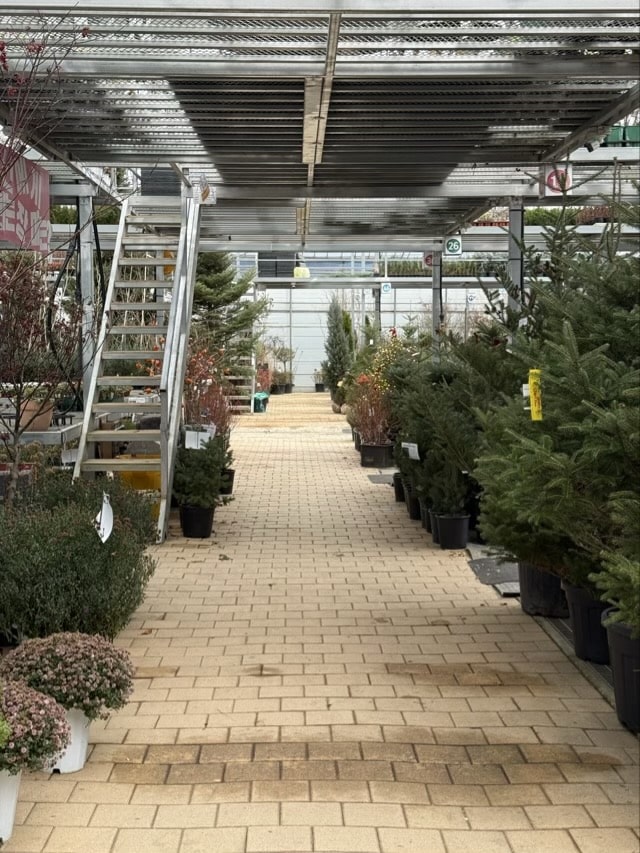 온실 내부, 벽돌 통로와 식물 진열대, 2층으로 올라가는 철제 계단